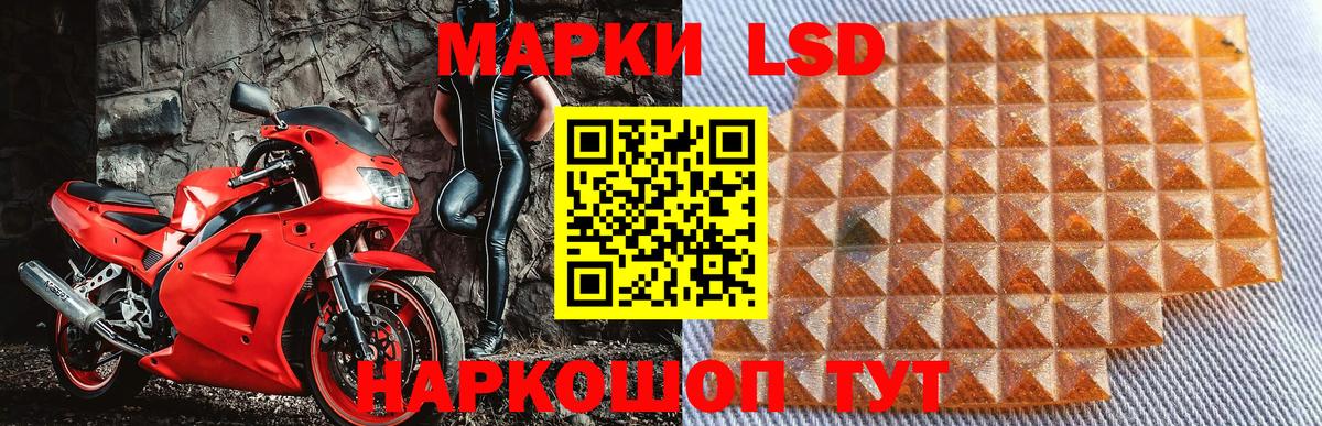 Наркотические марки 1,5мг  где купить наркоту  Домодедово  Вход с VPN 