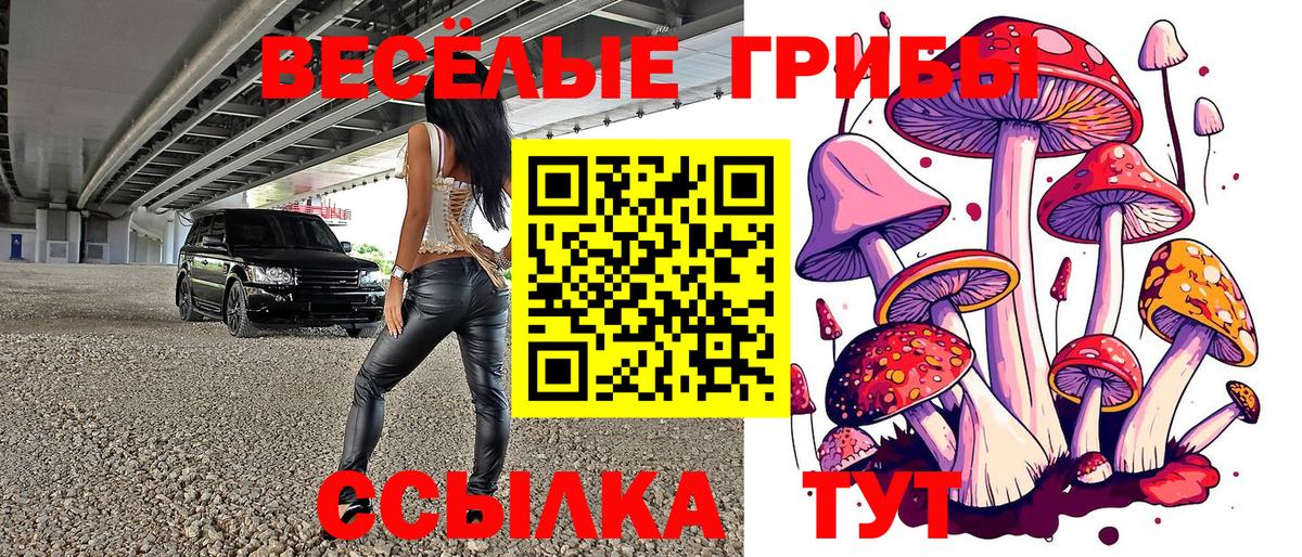 Псилоцибиновые грибы прущие грибы  Галлюциногенные грибы ЛСД  Вход с VPN  Домодедово 